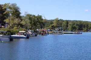 IMG_6498